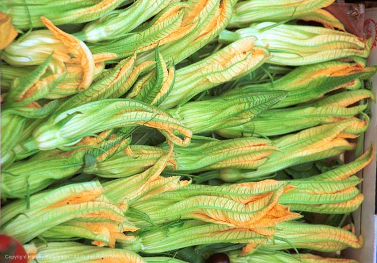 Florence market Zuccini Blossom Closed.jpg